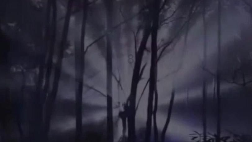 长月烬明的原著小说《长月无烬》值得看吗？