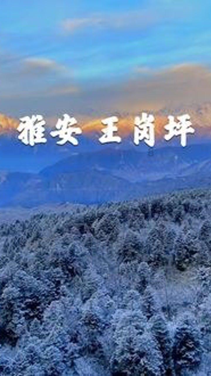 了不起的麦瑟尔夫人