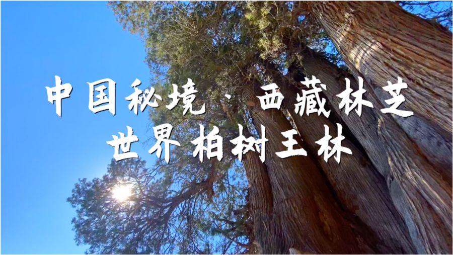 江苏出台政策清单扶持粮油生产