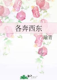 8分钟0得分！杜兰特罕见拉垮，太阳爆冷惨败魔术遭遇连败