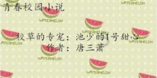 夏季纽扣裙