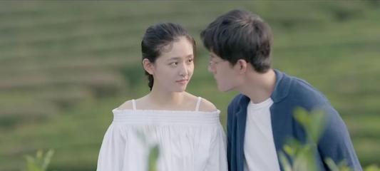 春雨直播app