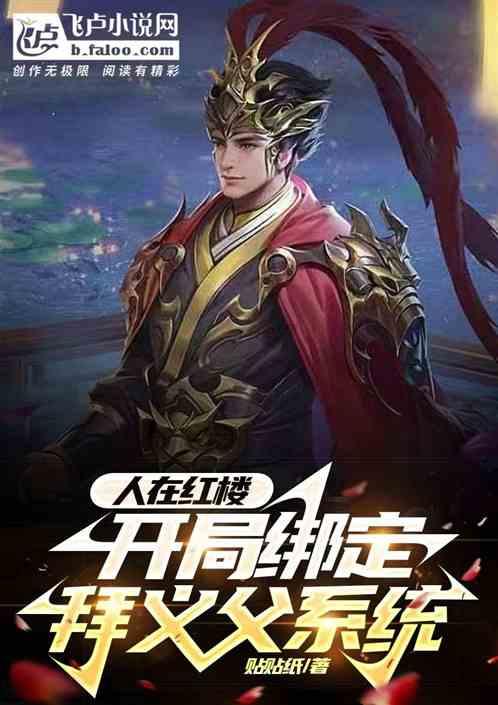 疯狂的小偷