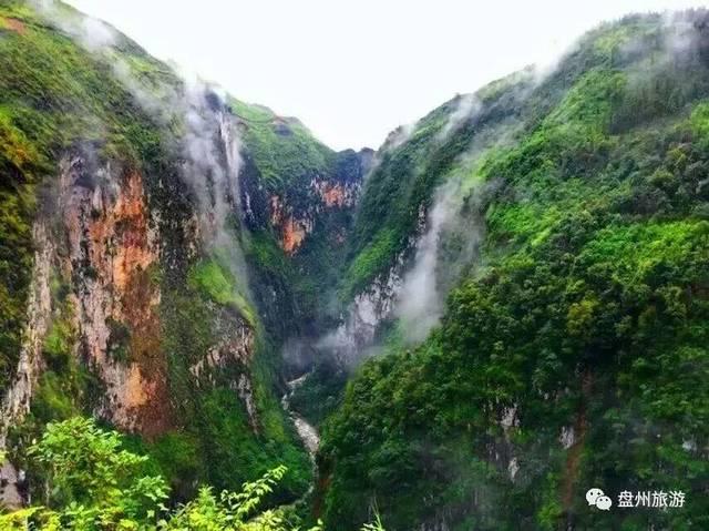 “环境管家”助力村庄“高颜值”