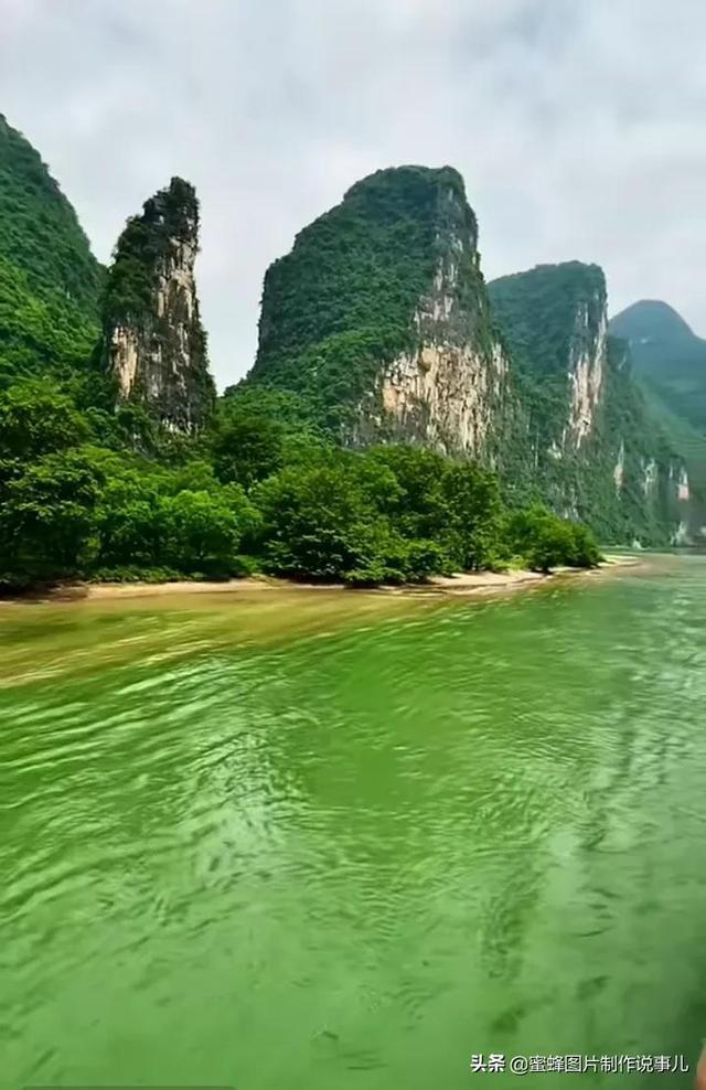 月光影视