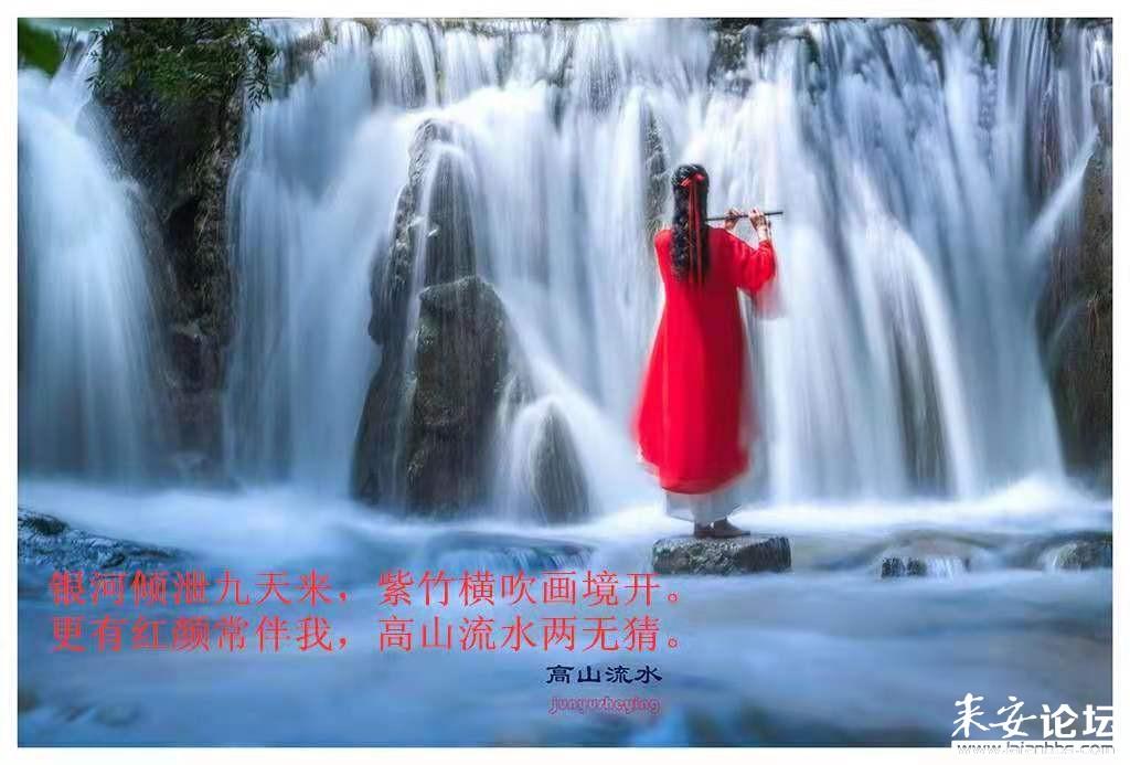 同心聚力向未来 | 围绕中心服务大局,立法引领护航发展