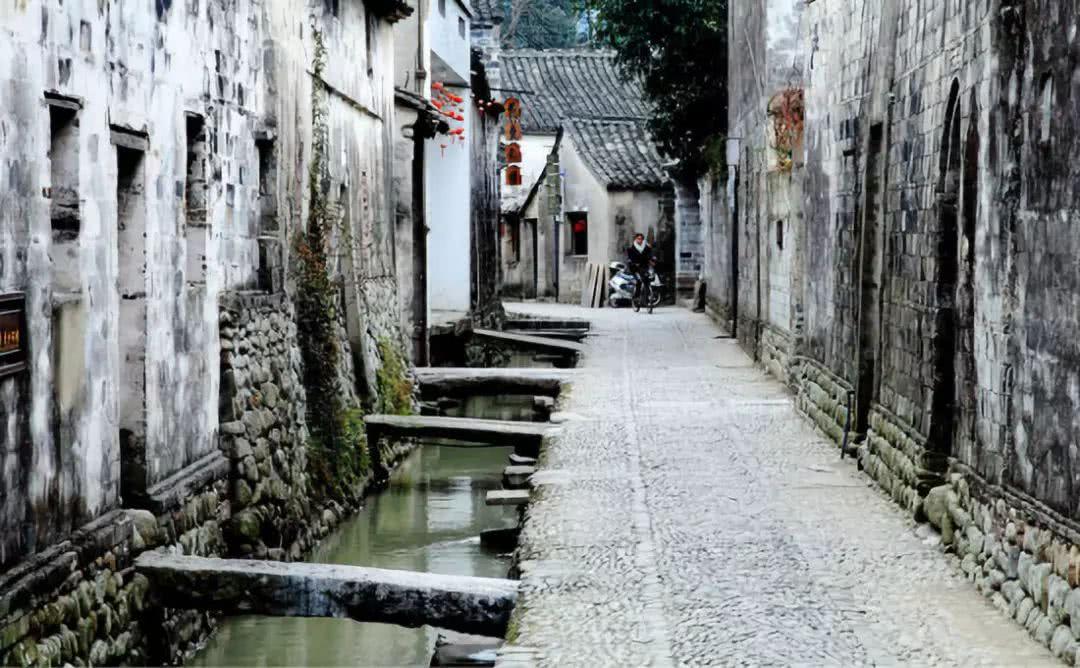 解救金刚鹦鹉