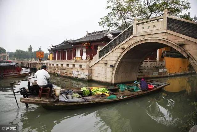 僵尸吃怪物