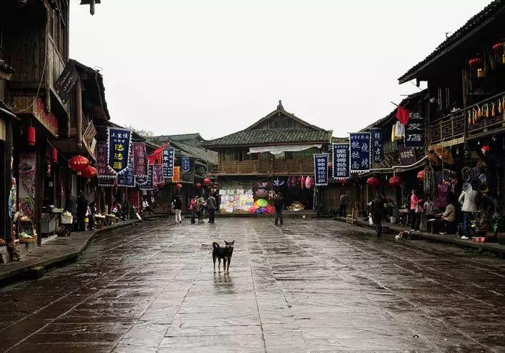逗小猴开心系列169