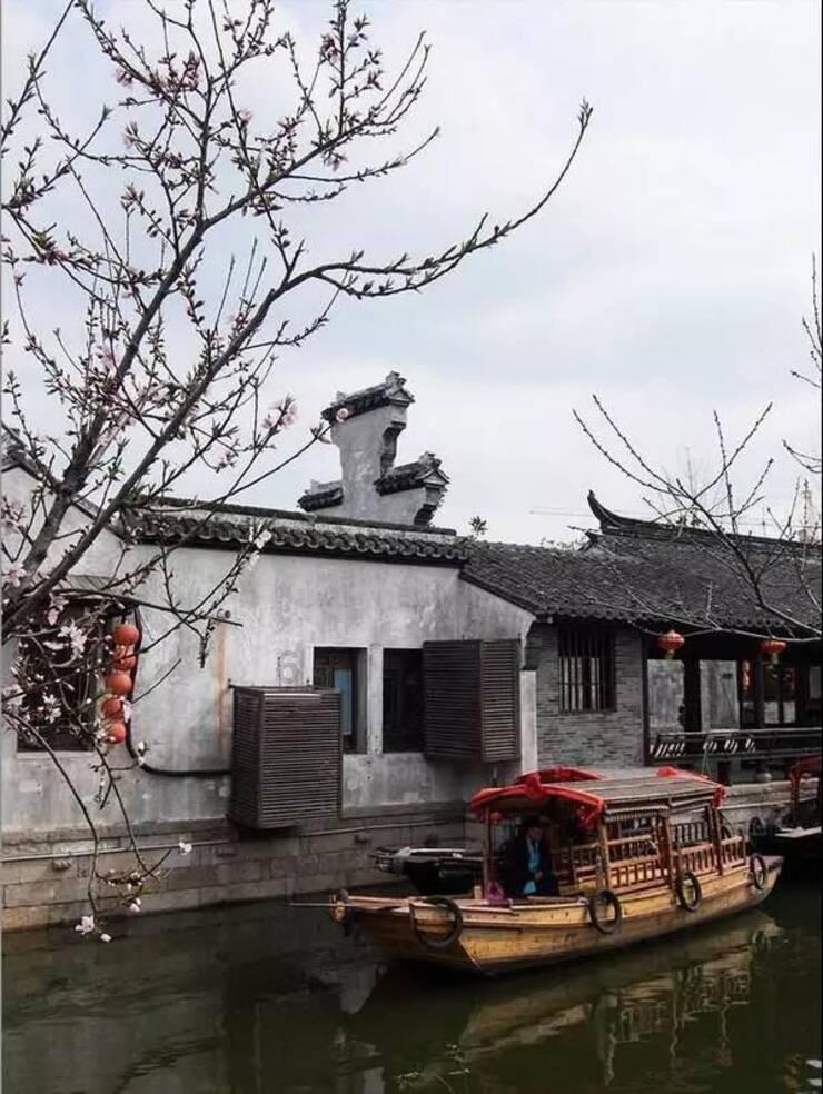 逗小猴开心系列196
