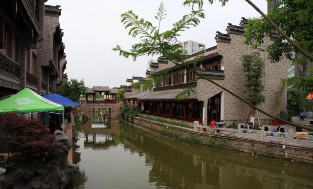 狗能吃橙子吗游戏画面